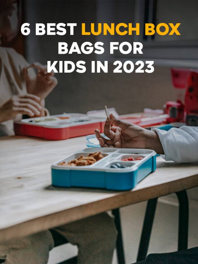 6 Best Lunch Box Bags for Kids in 2023