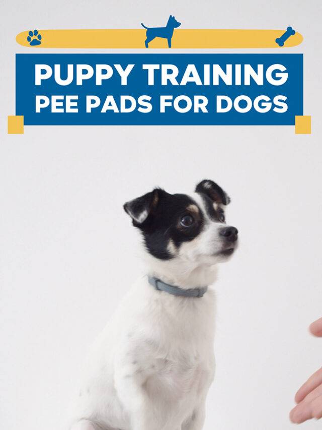 Puppy Training Pee Pads For Dogs