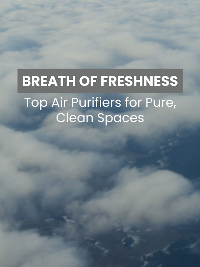 Breath of Freshness: Top Air Purifiers for Pure, C