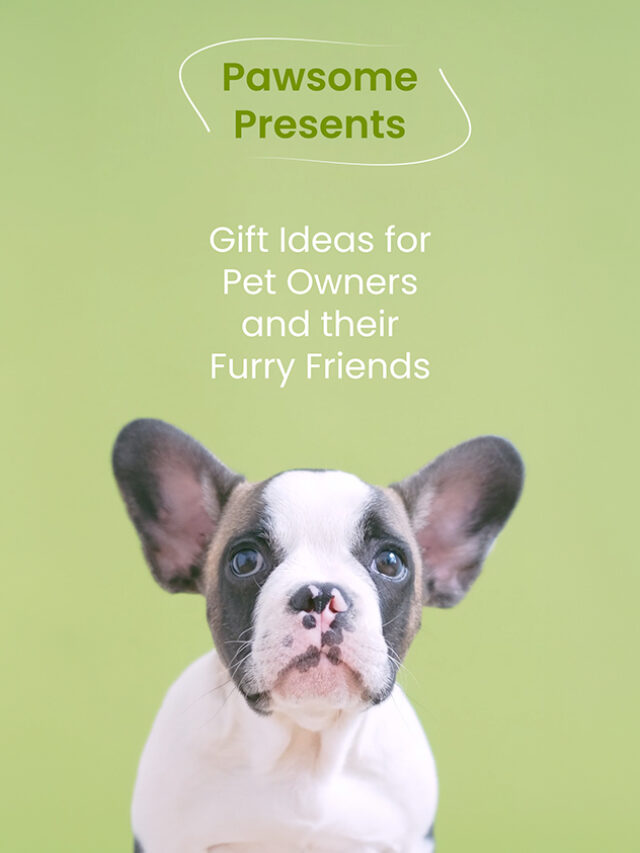 Pawsome Presents: Gift Ideas for Pet Owners and th