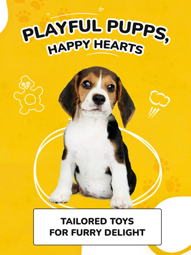 Playful Pups, Happy Hearts: Tailored Toys for Furr
